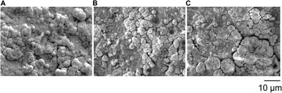 Investigating the thermal and irradiation stability of chemical vapor deposited erbium oxide tritium barrier coatings for Li breeder blanket applications